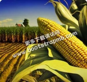 2026足球狂欢季，热度节节攀升 - PG官网