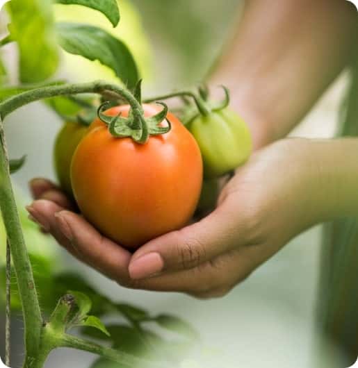 官方认证，安全可靠 - PG官网